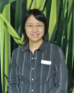 Doctor Team - Dr Jing Li